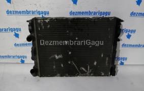 Piese auto din dezmembrari Radiator apa Renault Clio Ii