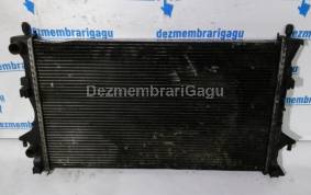 Piese auto din dezmembrari Radiator apa Renault Vel Satis