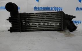 Piese auto din dezmembrari Radiator intercooler Peugeot 607