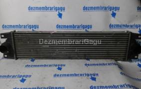 Piese auto din dezmembrari Radiator intercooler Renault Master Ii