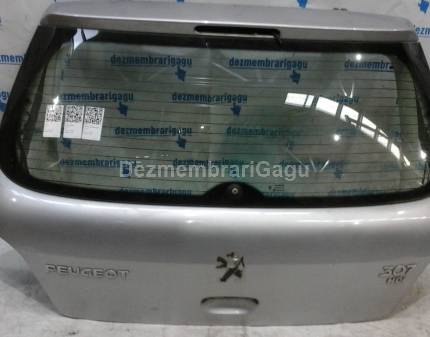 Haion Peugeot 307