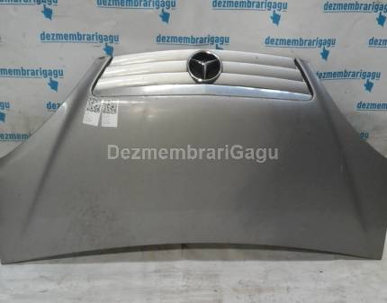 Grile capota Mercedes A-class / W168 (1997-2004)