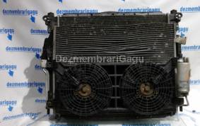 Piese auto din dezmembrari Electroventilator Ssangyong Rodius