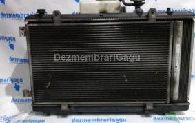 Piese auto din dezmembrari Radiator apa Fiat Sedici