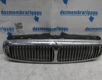 Grile capota Jaguar X-type