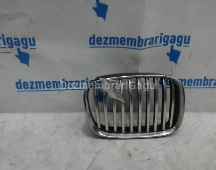 Grile capota Bmw 5 E39 (1995-2004)