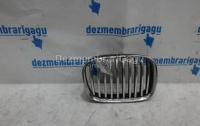 Piese auto din dezmembrari Grile capota Bmw 5 E39