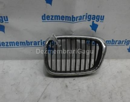 Grile capota Bmw 5 E39 (1995-2004)