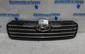 Piese auto din dezmembrari Grile capota Hyundai Accent