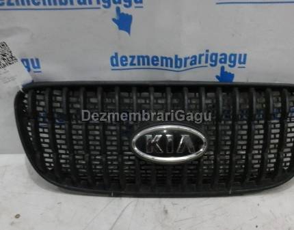 Grile capota Kia Picanto