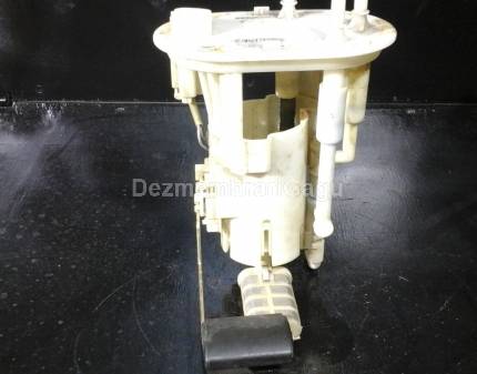 Sonda litrometrica Hyundai Santa Fe (2001-2006) Diesel, caroserie Off-road