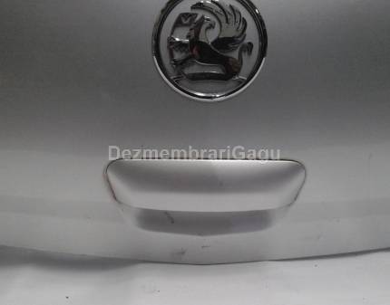 Maner haion Opel Corsa D (2006-)