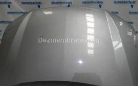Piese auto din dezmembrari Capota Ssangyong Rodius