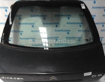 Haion Citroen C5 I (2001-)