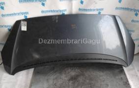 Piese auto din dezmembrari Capota Peugeot 1007