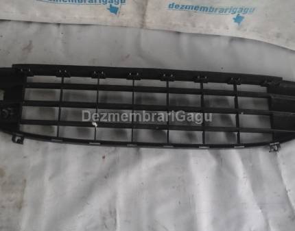 Grile bara Peugeot 407