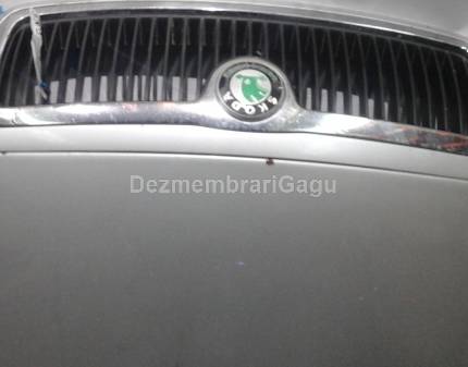 Grile capota Skoda Fabia I (1999-)