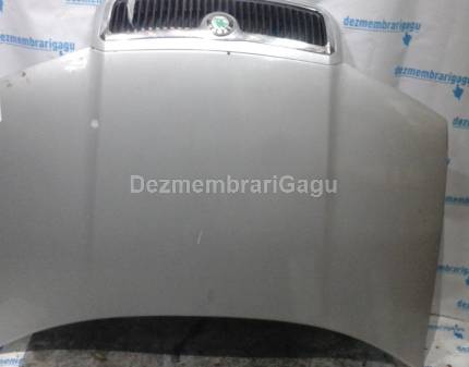 Capota Skoda Fabia I (1999-)