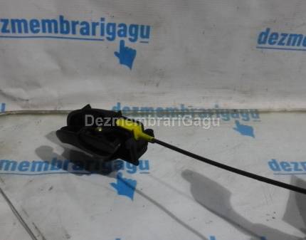 Broasca usa sf Ford Focus I (1998-2004)