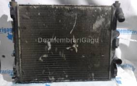 Piese auto din dezmembrari Radiator apa Dacia 1307