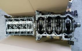 Piese auto din dezmembrari Bloc motor ambielat Ford Transit Viii