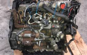 Piese auto din dezmembrari Motor Ford Focus C-max