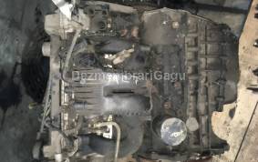 Piese auto din dezmembrari Motor Ford Galaxy I