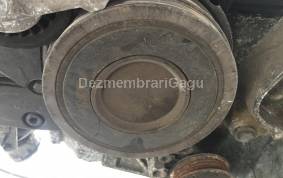 Piese auto din dezmembrari Fulie vibrochen Volkswagen Passat / 3b3 - 3b6