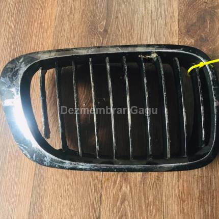Grile capota Bmw 3 E46 (1998-)