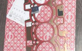 Piese auto din dezmembrari Garnitura chiulasa Bmw 3 F30 (2012-2015)