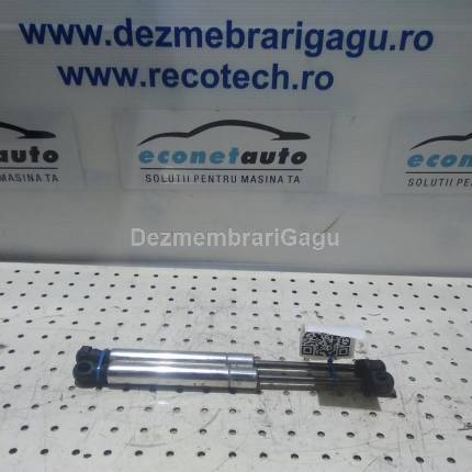 Amortizor haion Volkswagen Passat / 3b3 - 3b6 (2000-2005)