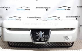 Piese auto din dezmembrari Grile capota Peugeot Expert