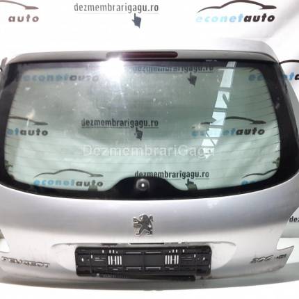 Haion Peugeot 206
