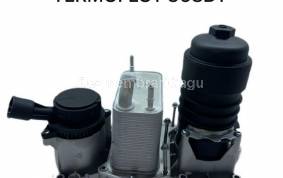 Piese auto din dezmembrari Termoflot Land Rover Range Rover Sport