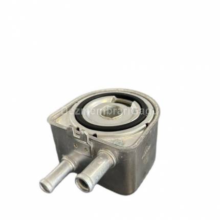 Termoflot Peugeot Boxer 244 (2002-)