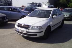 Dezmembrari Skoda Octavia Ii (2004-)