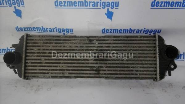 Vand radiator intercooler RENAULT TRAFIC (2001-), 1.9 Diesel