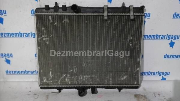 Vand radiator apa PEUGEOT 307, 2.0 Diesel, 79 KW din dezmembrari