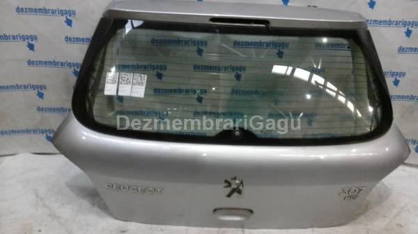 Broasca haion Peugeot 307