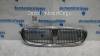 Grile capota Rover 25