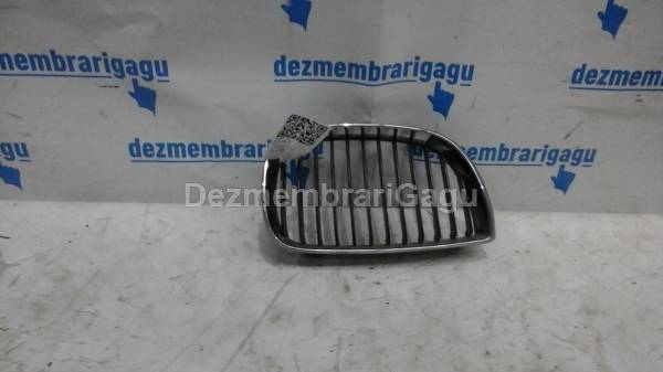 Grile capota Bmw 5 E60/e61