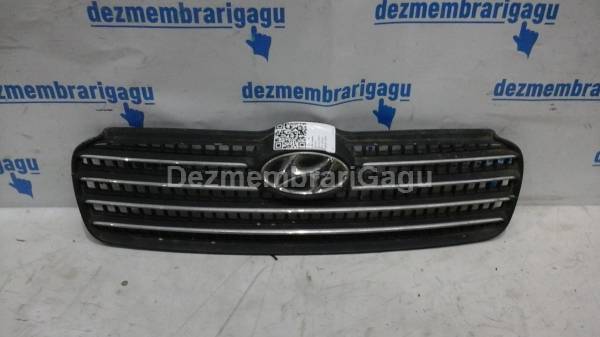 Vand grile capota HYUNDAI ACCENT (2000-) din dezmembrari