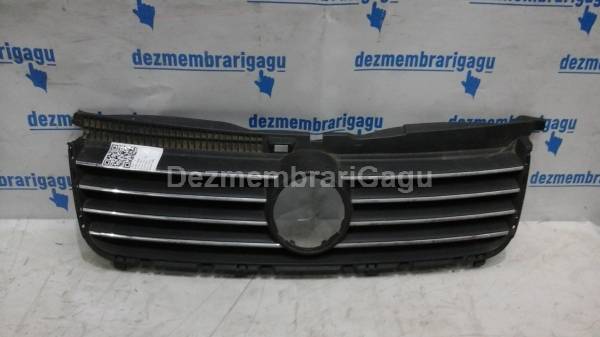 Grile capota Volkswagen Passat