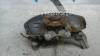 Fuzeta spate dreapta Peugeot 407