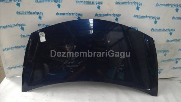 Vand capota RENAULT CLIO III (2005-) din dezmembrari