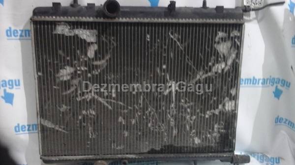 Vand radiator apa PEUGEOT 307, 2.0 Benzina, 100 KW