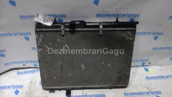 Vand radiator apa PEUGEOT 206, 1.4 Diesel