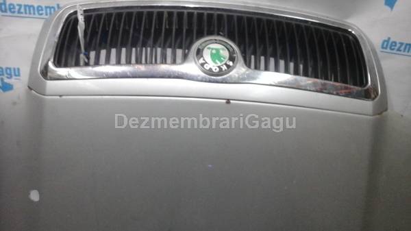 De vanzare grile capota SKODA FABIA I (1999-)
