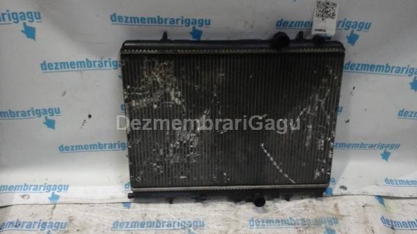 Vand radiator apa PEUGEOT 206, 2.0 Diesel, 66 KW