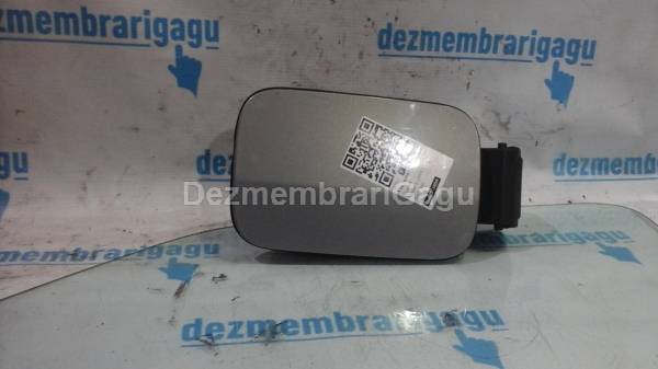 Vand usa / usita rezervor RENAULT SCENIC II (2003-) Diesel din dezmembrari